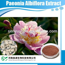 Extrato de Paeonia Albiflora